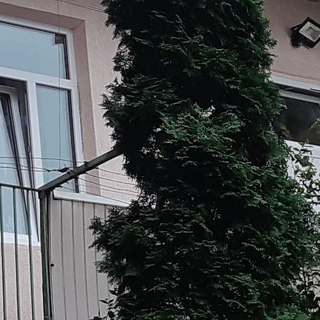 לבוב Transfer Apartment מראה חיצוני תמונה