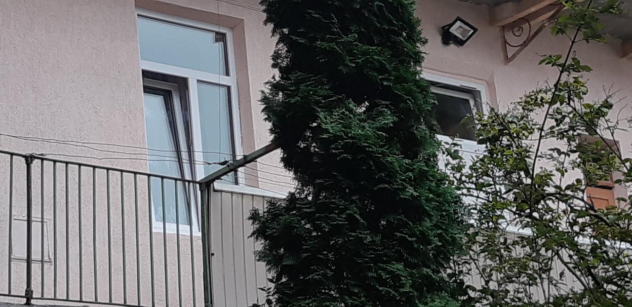 לבוב Transfer Apartment מראה חיצוני תמונה