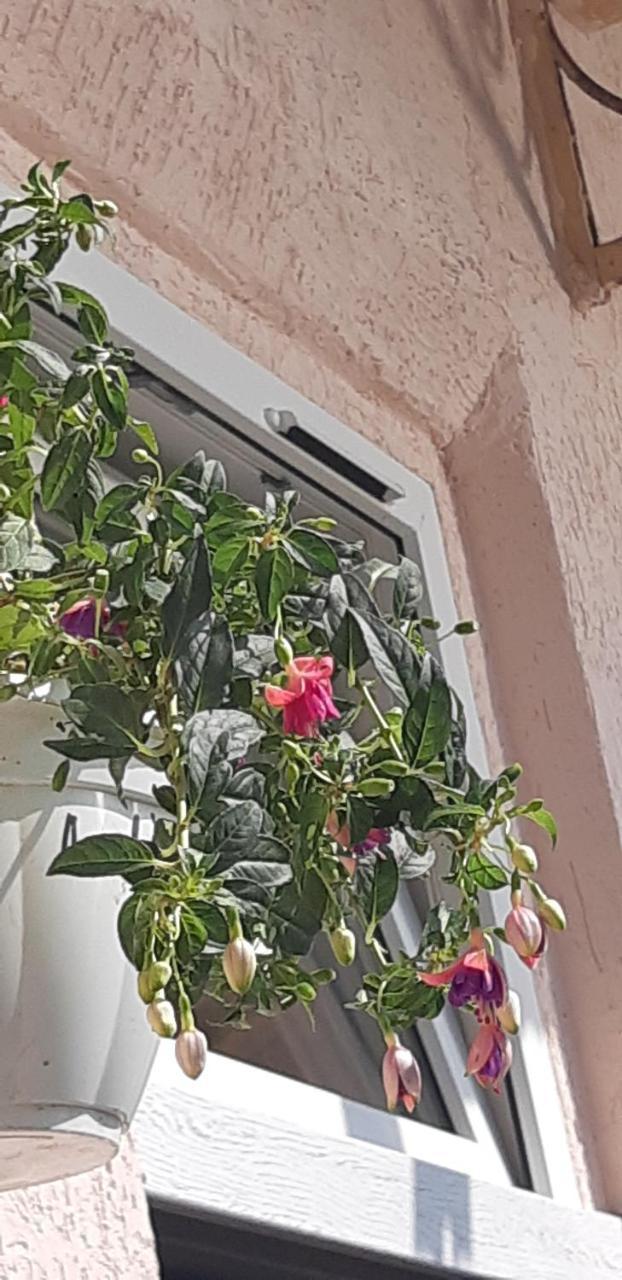 לבוב Transfer Apartment מראה חיצוני תמונה